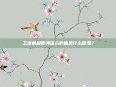 王者荣耀服务器未响应是什么意思？