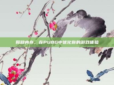 释放内存，在PUBG中优化你的游戏体验