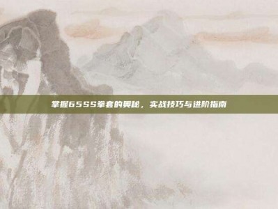掌握65SS拳套的奥秘，实战技巧与进阶指南