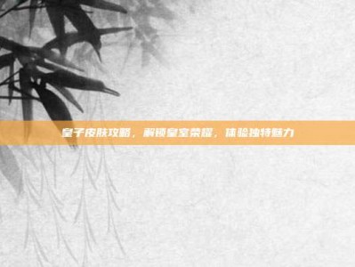 皇子皮肤攻略，解锁皇室荣耀，体验独特魅力
