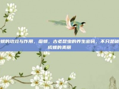 蚕蛾的功效与作用，蚕蛾，古老昆虫的养生密码，不只是破茧成蝶的美丽