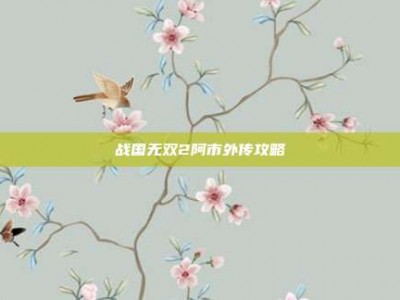 战国无双2阿市外传攻略