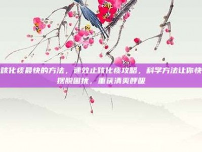 止咳化痰最快的方法，速效止咳化痰攻略，科学方法让你快速摆脱困扰，重获清爽呼吸