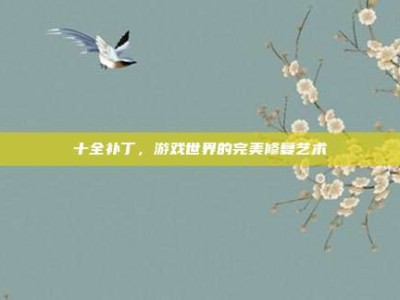 十全补丁，游戏世界的完美修复艺术
