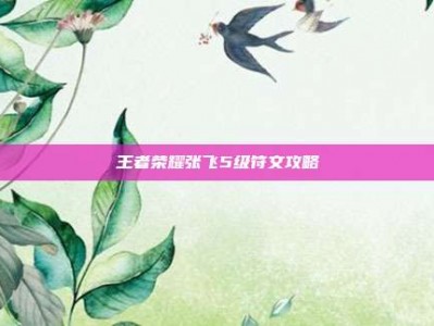 王者荣耀张飞5级符文攻略