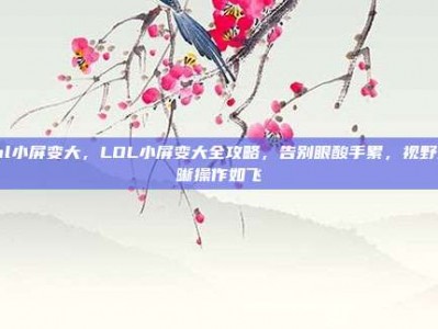 lol小屏变大，LOL小屏变大全攻略，告别眼酸手累，视野清晰操作如飞