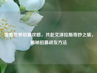 魔兽世界招募攻略，共赴艾泽拉斯奇妙之旅，揭秘招募战友方法