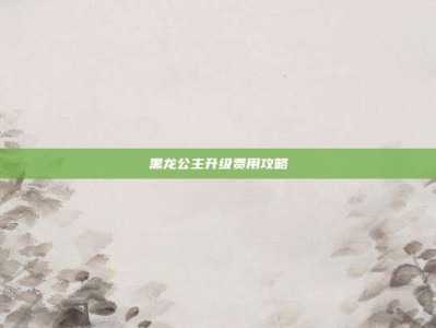 黑龙公主升级费用攻略