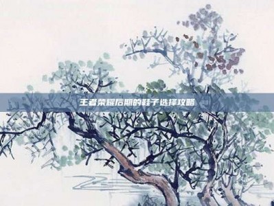 王者荣耀后期的鞋子选择攻略
