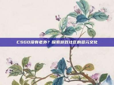 CSGO没有老外？探索游戏社区的多元文化