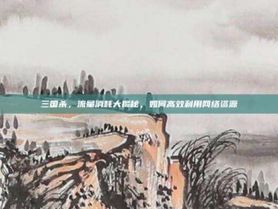 三国杀，流量消耗大揭秘，如何高效利用网络资源