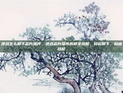 逆战怎么卸下芯片插件，逆战芯片插件拆卸全攻略，轻松卸下，自由搭配
