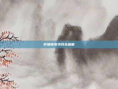 轩辕传奇寻找北极熊