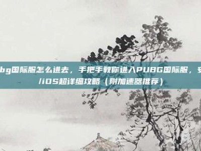 pubg国际服怎么进去，手把手教你进入PUBG国际服，安卓/iOS超详细攻略（附加速器推荐）