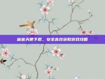 秘密天使下载，安全高效获取游戏攻略