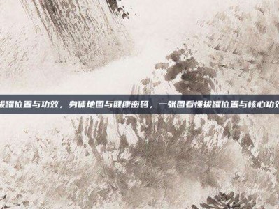 拔罐位置与功效，身体地图与健康密码，一张图看懂拔罐位置与核心功效
