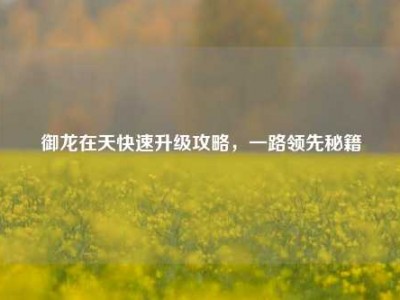 御龙在天快速升级攻略，一路领先秘籍
