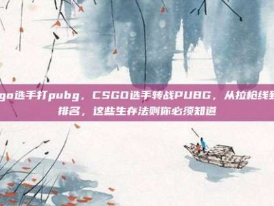 csgo选手打pubg，CSGO选手转战PUBG，从拉枪线到苟排名，这些生存法则你必须知道