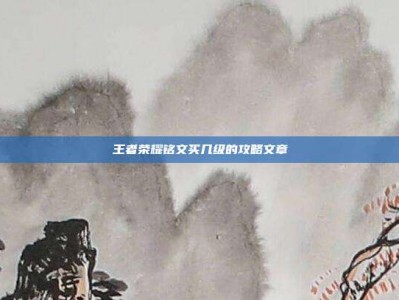 王者荣耀铭文买几级的攻略文章