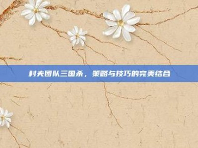 村夫团队三国杀，策略与技巧的完美结合
