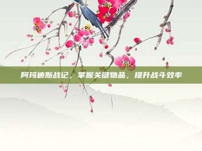 阿玛迪斯战记，掌握关键物品，提升战斗效率