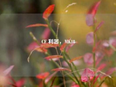 CF 利器，MK18