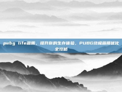 pubg life画质，提升你的生存体验，PUBG终极画质优化全攻略