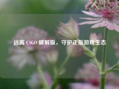 远离 CSGO 破解版，守护正版游戏生态