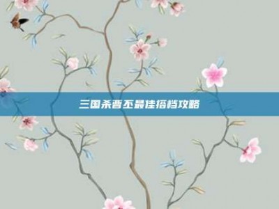 三国杀曹丕最佳搭档攻略