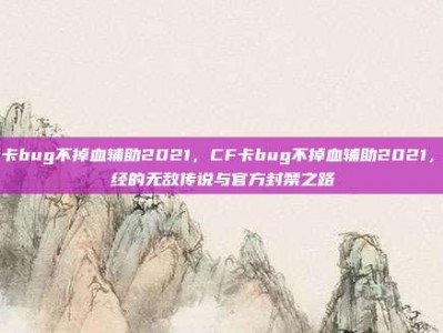 cf卡bug不掉血辅助2021，CF卡bug不掉血辅助2021，曾经的无敌传说与官方封禁之路