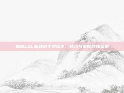 揭秘LOL职业选手训练区，技巧与策略的炼金术