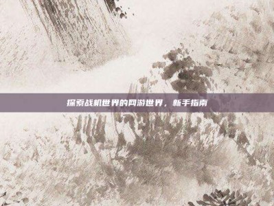 探索战机世界的网游世界，新手指南
