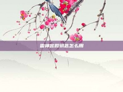 雷神宫殿钥匙怎么用