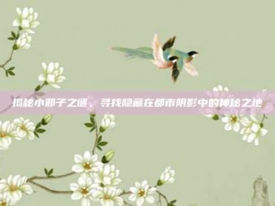 揭秘小邪子之谜，寻找隐藏在都市阴影中的神秘之地