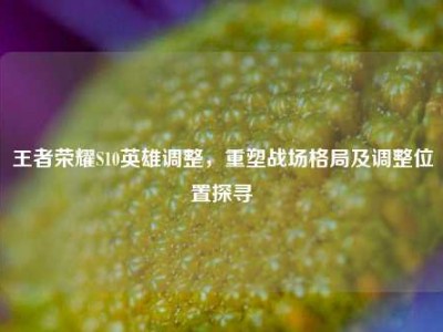 王者荣耀S10英雄调整，重塑战场格局及调整位置探寻