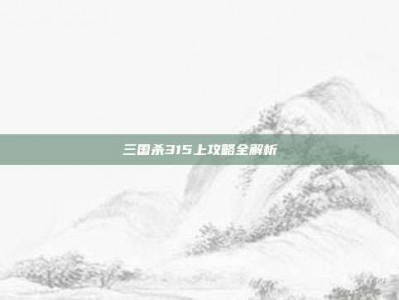 三国杀315上攻略全解析