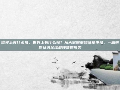 世界上有什么鸟，世界上有什么鸟？从天空霸主到萌宠小鸟，一篇带你认识全球最神奇的鸟类