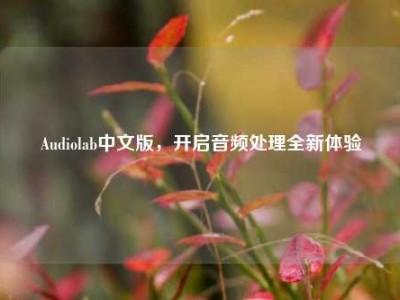 Audiolab中文版，开启音频处理全新体验