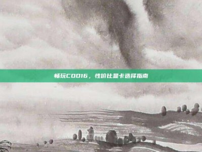 畅玩COD16，性价比显卡选择指南