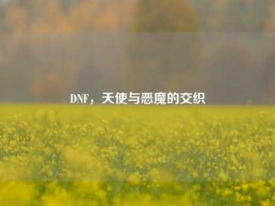 DNF，天使与恶魔的交织