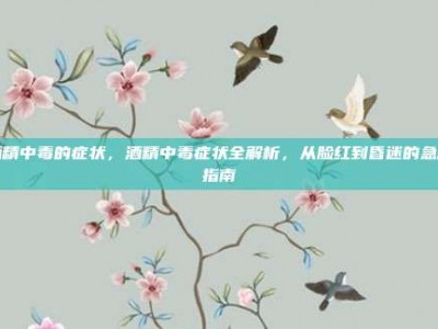 酒精中毒的症状，酒精中毒症状全解析，从脸红到昏迷的急救指南