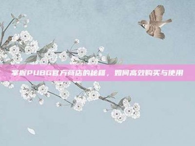 掌握PUBG官方商店的秘籍，如何高效购买与使用