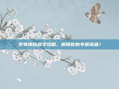 梦奇皮肤名字攻略，解锁你的专属英雄！