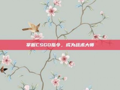 掌握CSGO指令，成为战术大师