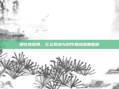 姚壮宪微博，公众观点与创作脉络深度解析