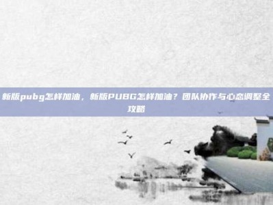 新版pubg怎样加油，新版PUBG怎样加油？团队协作与心态调整全攻略