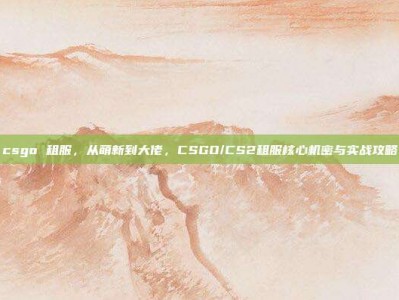 csgo 租服，从萌新到大佬，CSGO/CS2租服核心机密与实战攻略
