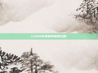 CSGO完美世界机服攻略