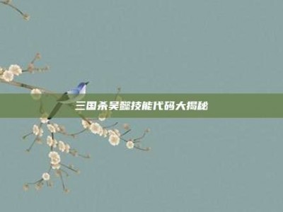 三国杀吴懿技能代码大揭秘