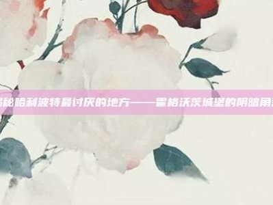 揭秘哈利波特最讨厌的地方——霍格沃茨城堡的阴暗角落